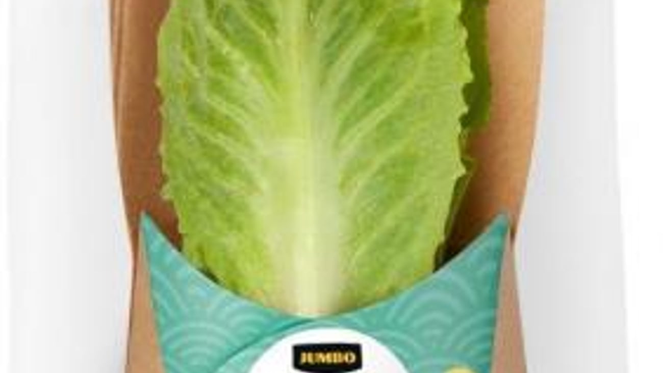 lettuce wrap