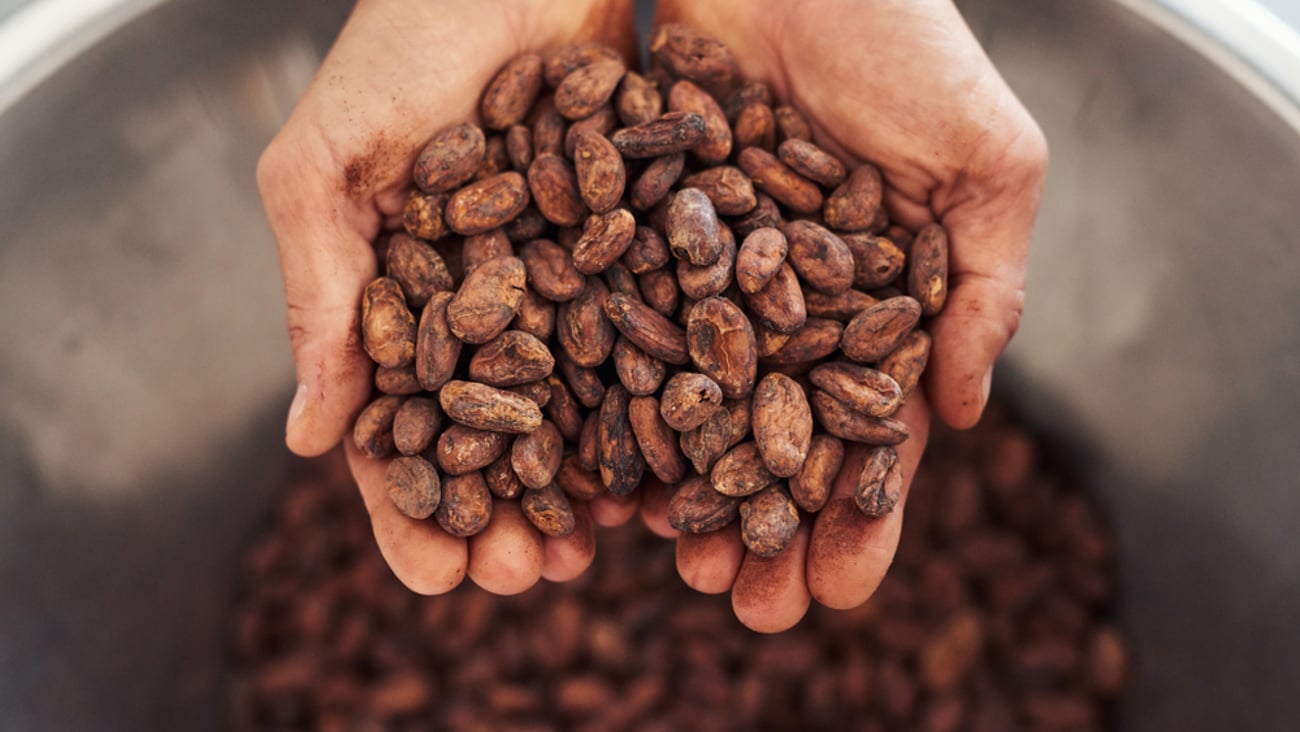 cocoa beans