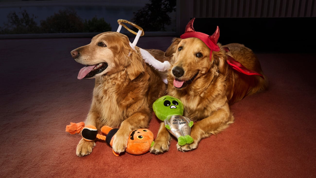 PetSmart Halloween