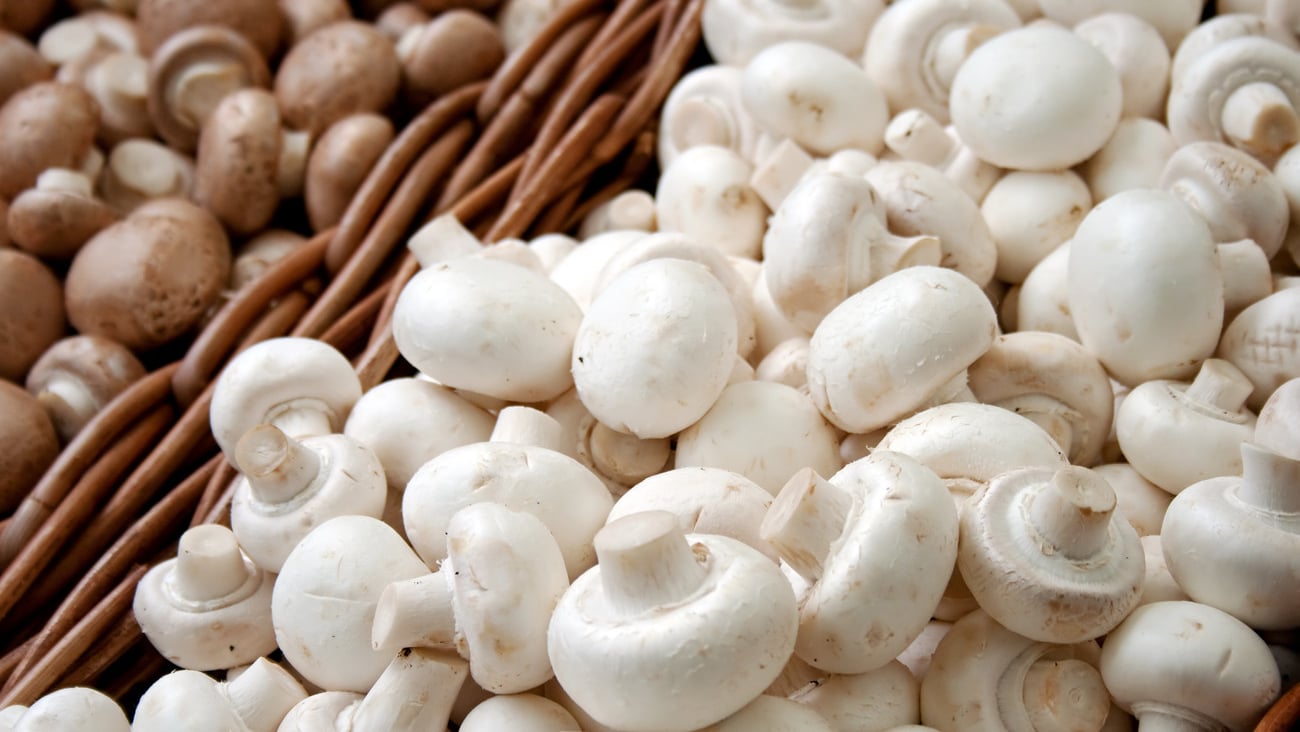 A group of tasty freshly picked mushrooms piled into wicker baskets.; Shutterstock ID 36469954