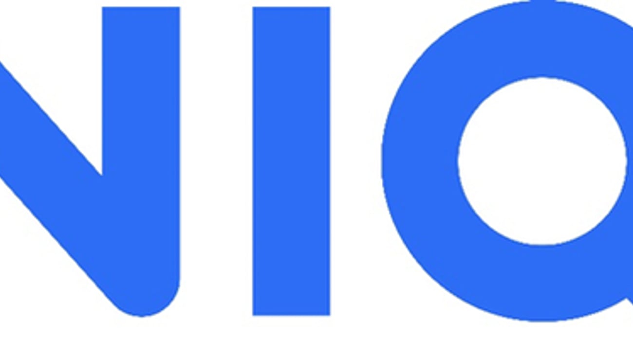 NIQ Logo