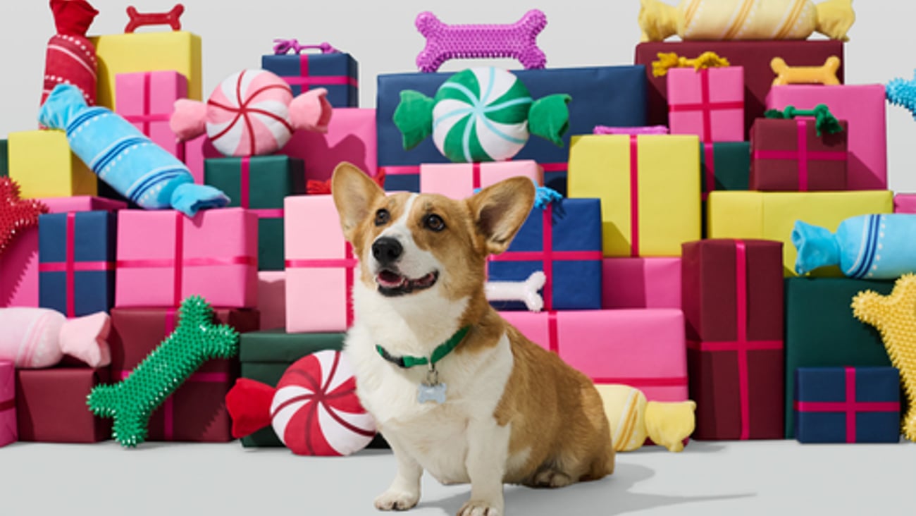 Petco Holiday 2024