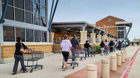 lined up shopping carts