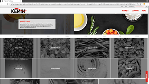 graphical user interface, website