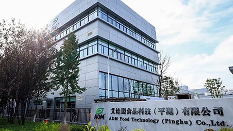 a tree in front of a building