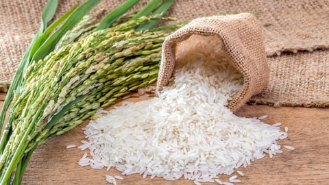 a close up of food on a table