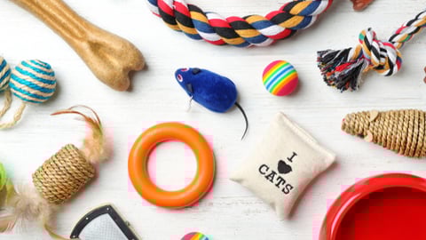 a group of items on a table