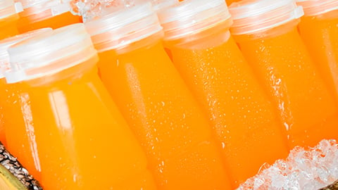 cup,food,table,beverage,orange,filled,counter,honey,cheese,sitting,fresh,girl,large,woman,holding,clear,bottle,man