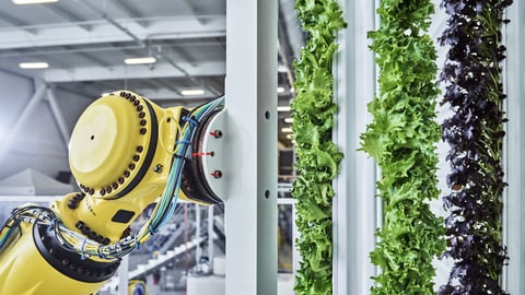 vertical farming