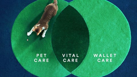 Petco Vital Care ad