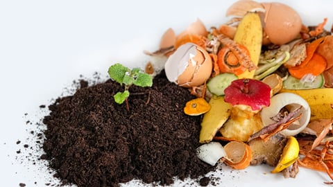 compost