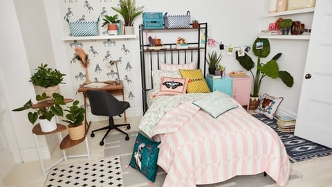 Bed Bath & Beyond The Novogratz