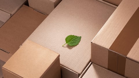 sustainable packaging