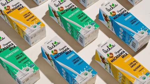 Lechia plant-based milk