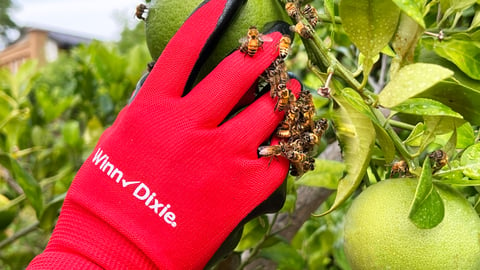 Southeastern Grocers pollinators