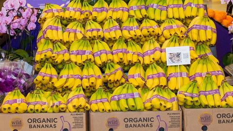 UNFI Wild Harvest bananas