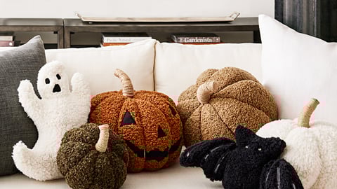 Williams-Sonoma Pottery Barn Halloween