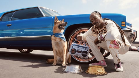 Snoop Doggie Doggs