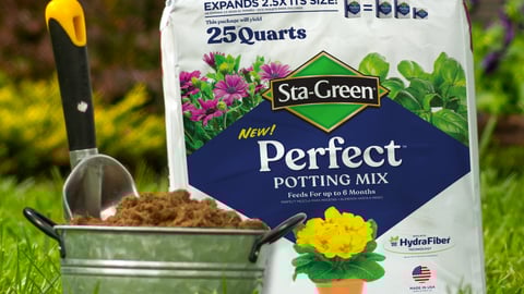 Lowe's Sta-Green