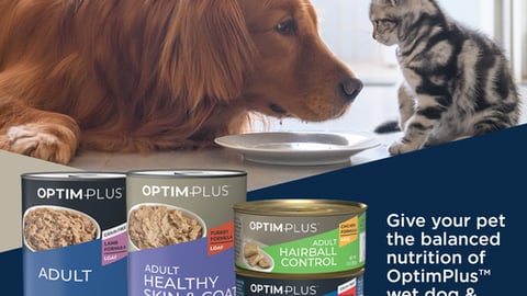 Pet Supplies Plus (cropped)