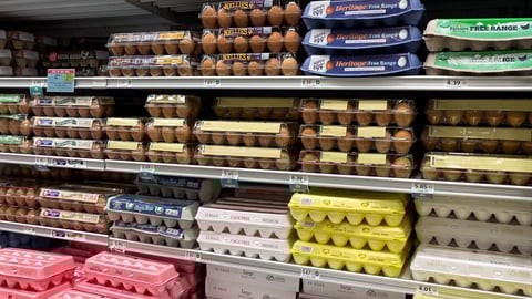 NORTH PORT, FLORIDA - FEBRUARY 26, 2024 : Variety of fresh eggs in cartons on shelves at grocery store supermarket.; Shutterstock ID 2430395711