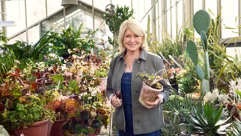 Tractor Supply Martha Stewart