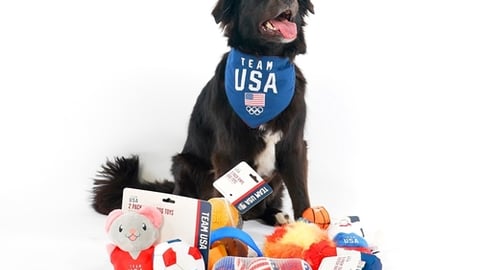 PetSmart Team USA Collection 2024