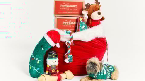 2024 PetSmart Merry & Bright collection