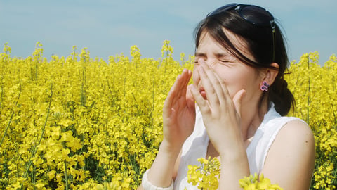 Pollen allergy, girl sneezing in a field of flowers; Shutterstock ID 93088627