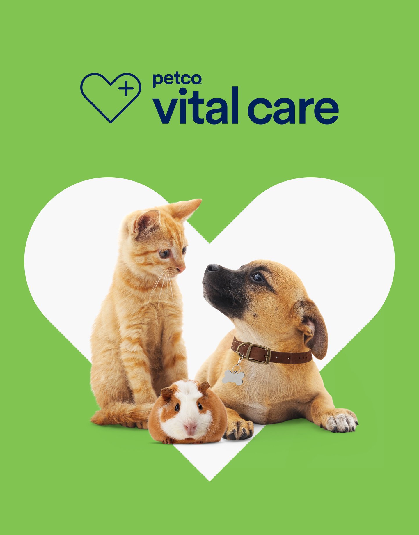 Petco Vital Care