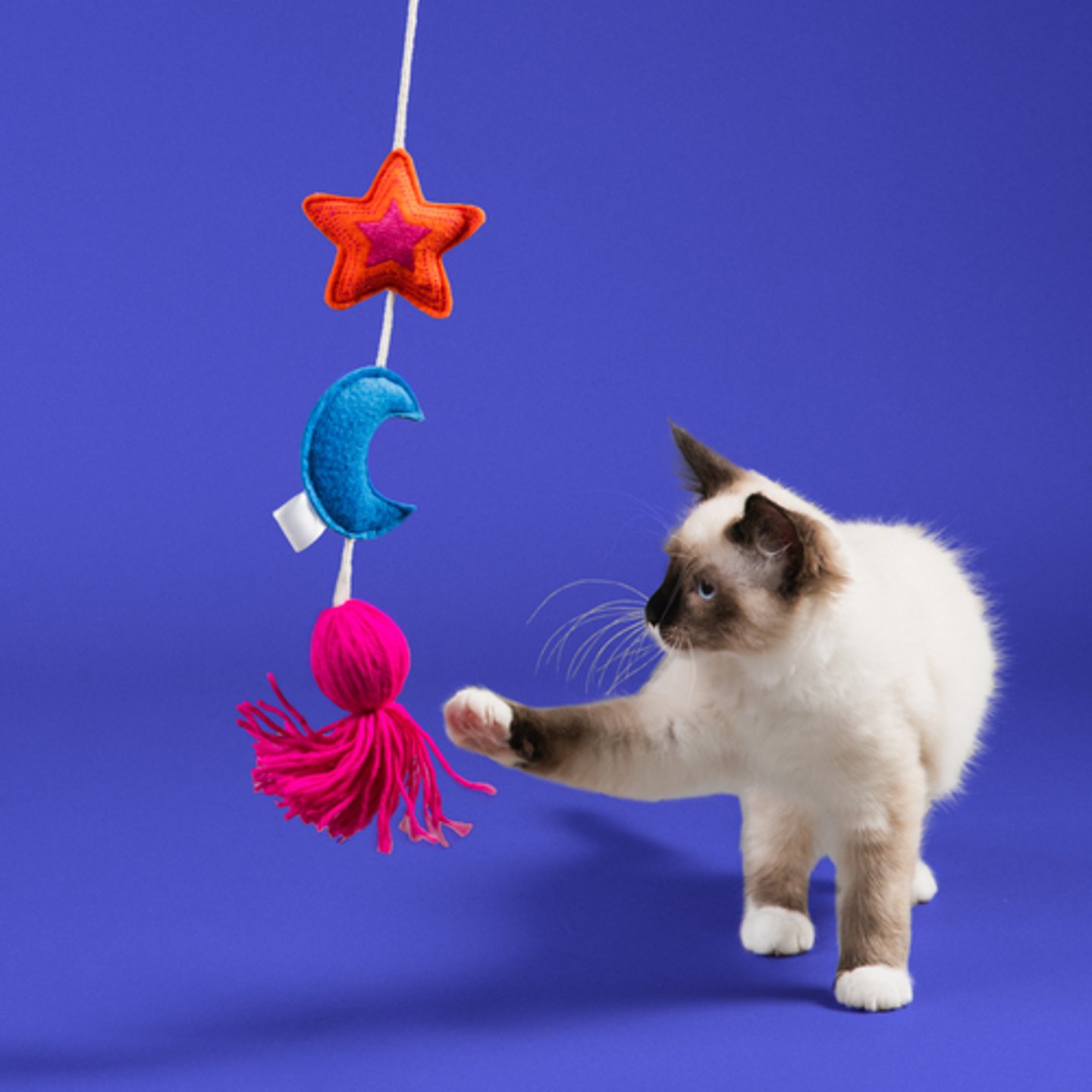 Petco's Leaps and Bounds collection