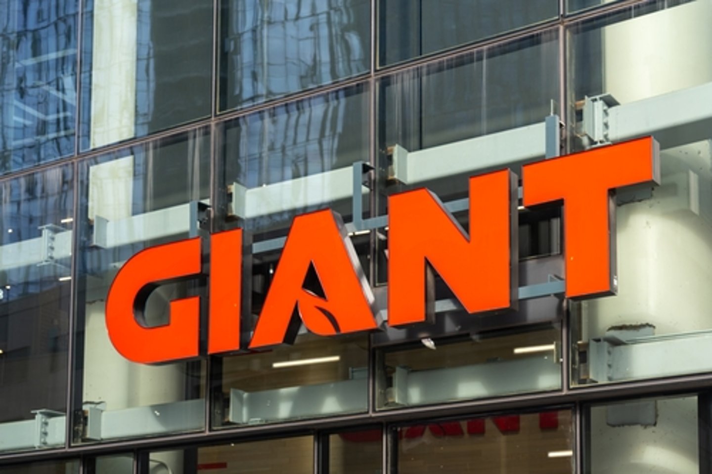 The Giant Company Logo