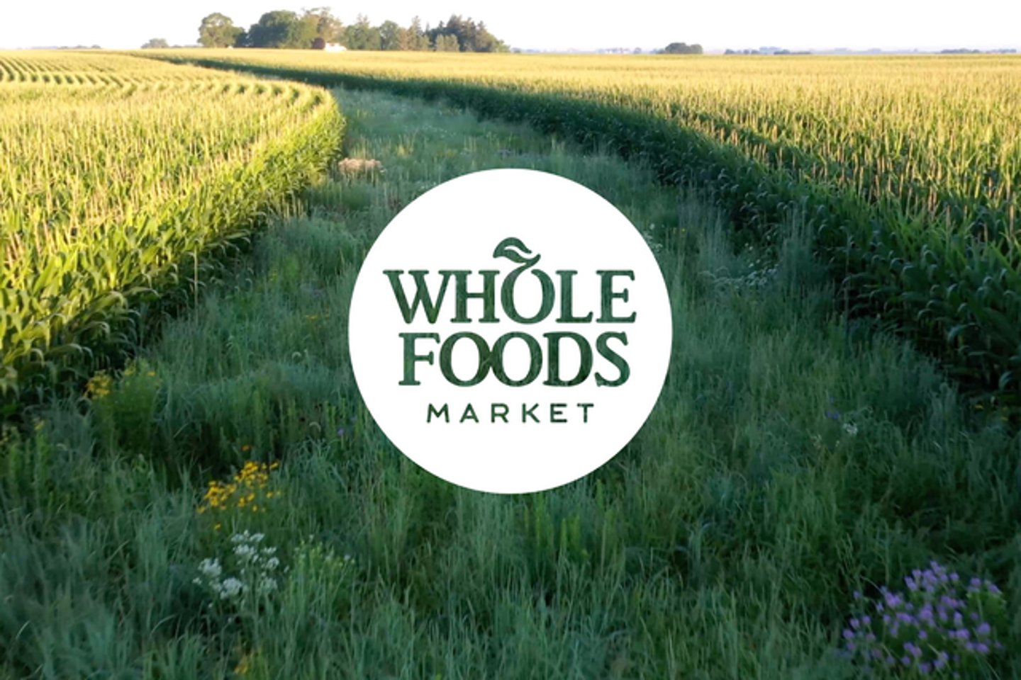 Whole Foods Market