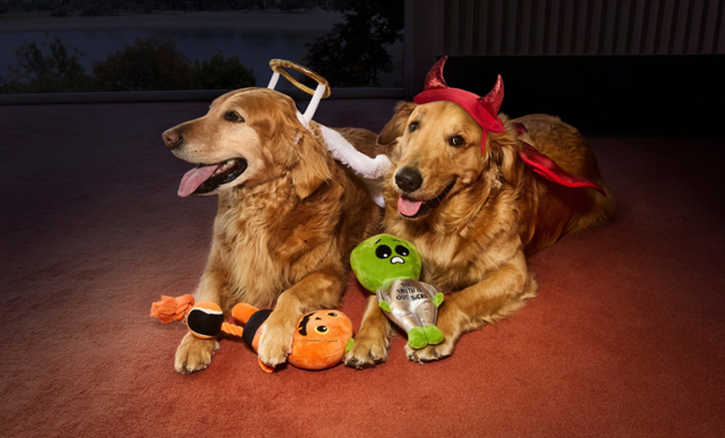 PetSmart Halloween