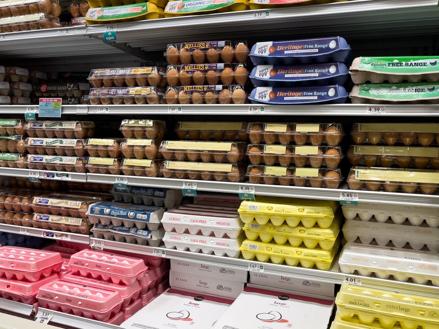NORTH PORT, FLORIDA - FEBRUARY 26, 2024 : Variety of fresh eggs in cartons on shelves at grocery store supermarket.; Shutterstock ID 2430395711