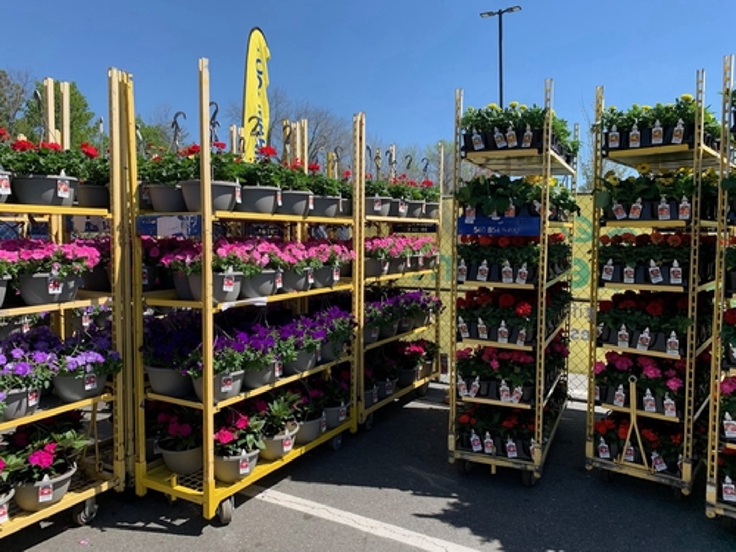 Lidl Garden Center Concept