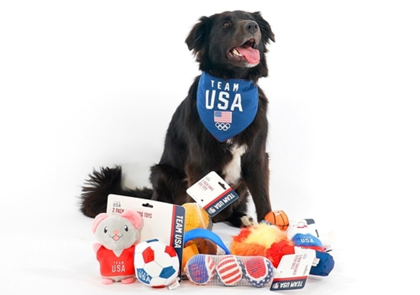 PetSmart Team USA Collection 2024