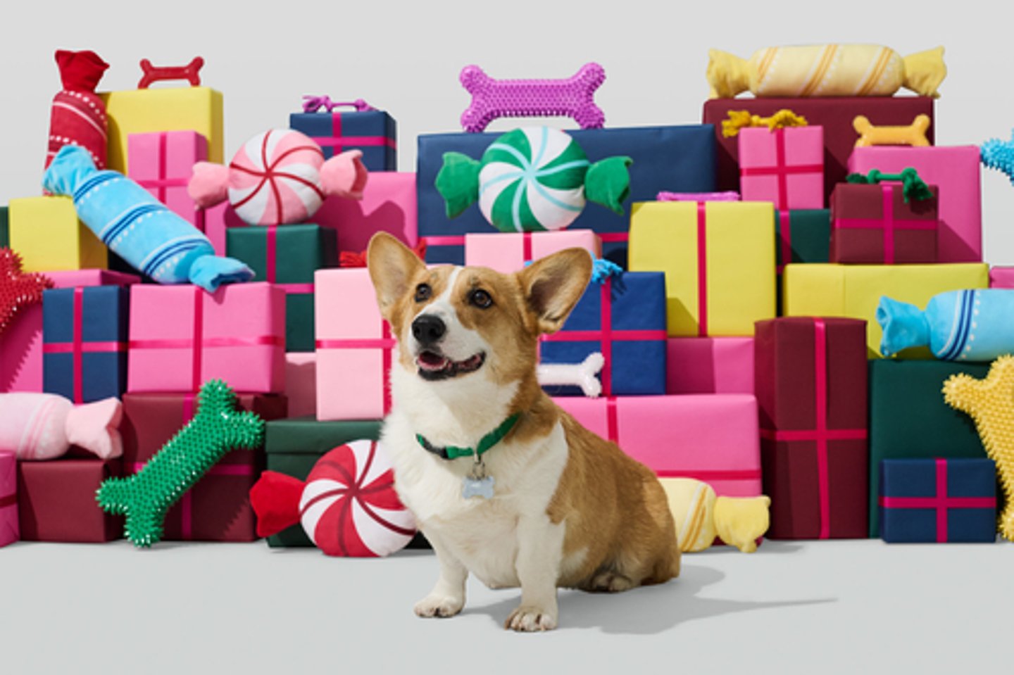 Petco Holiday 2024