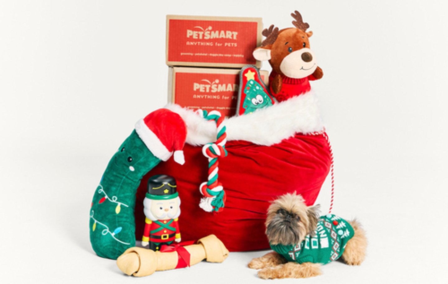 2024 PetSmart Merry & Bright collection