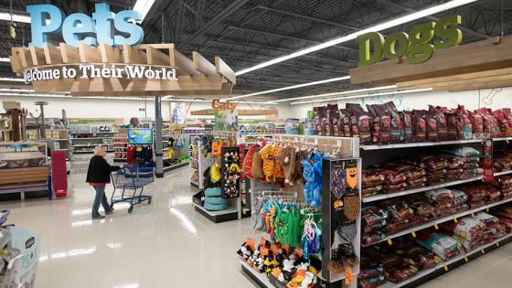meijer nutro dog food