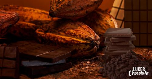 Luker Chocolate's Long Term 'Dream' To Ensure Cocoa Availability ...