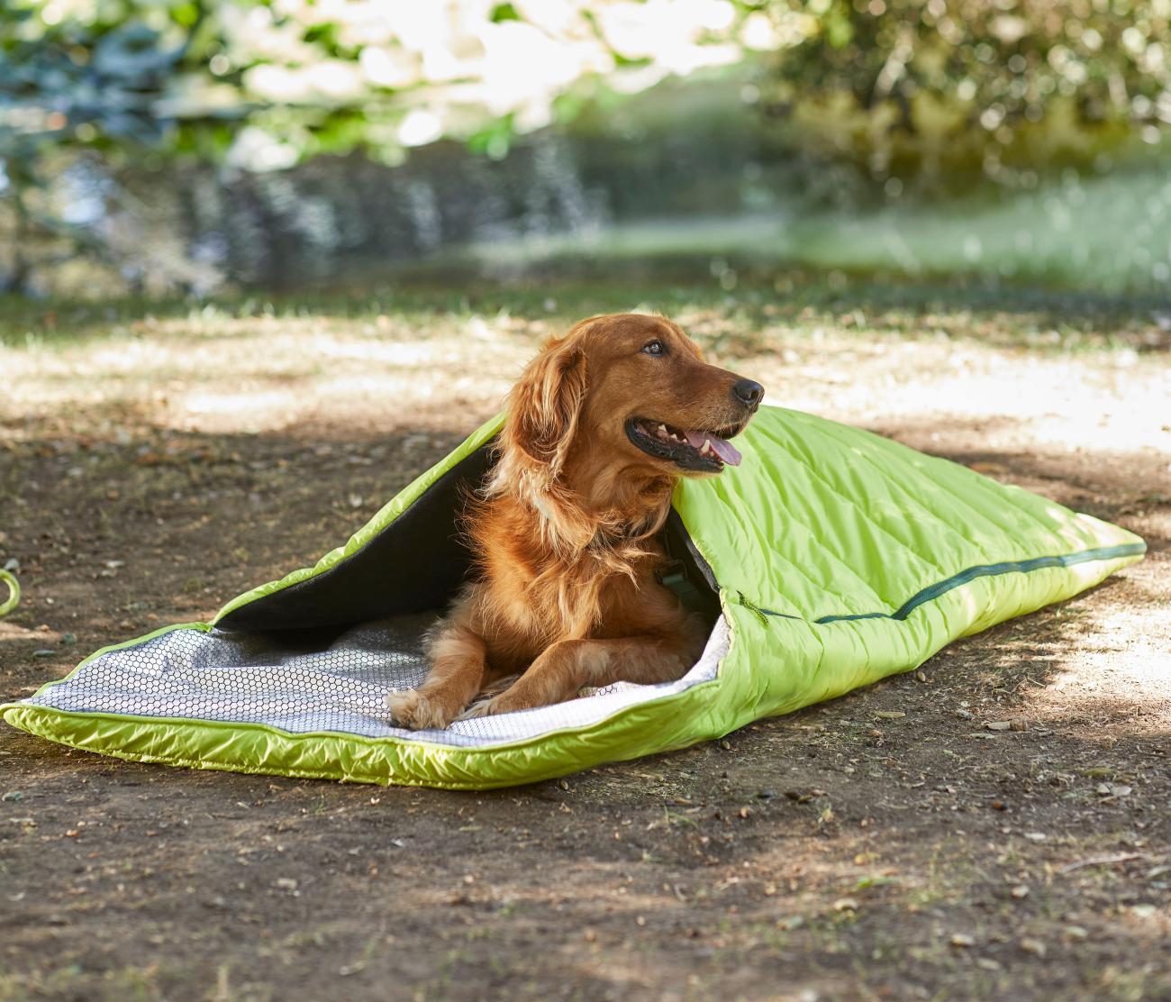 Petco and Backcountry Unveil Outdoor Dog Collection Store Brands