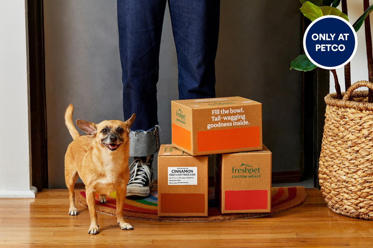 Dog deals delivery box