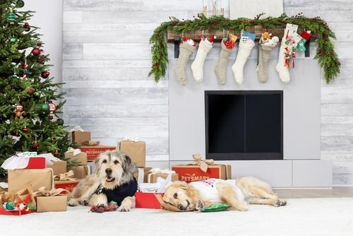 Private Label The Focus Of PetSmart s Holiday Shop Store Brands