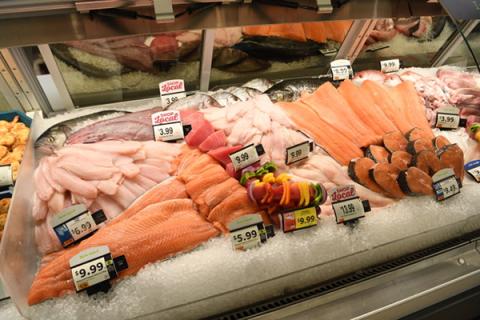 fish in a store