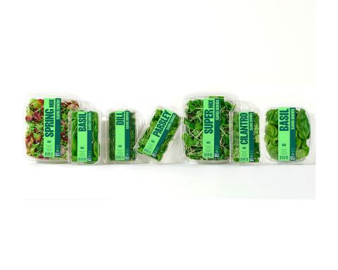 Square Roots produce