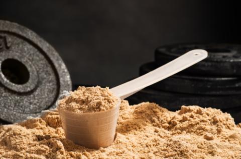 protein supplements