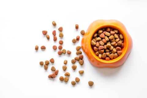 pet food