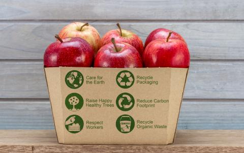 sustainability
