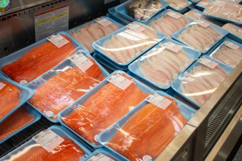 fresh fish